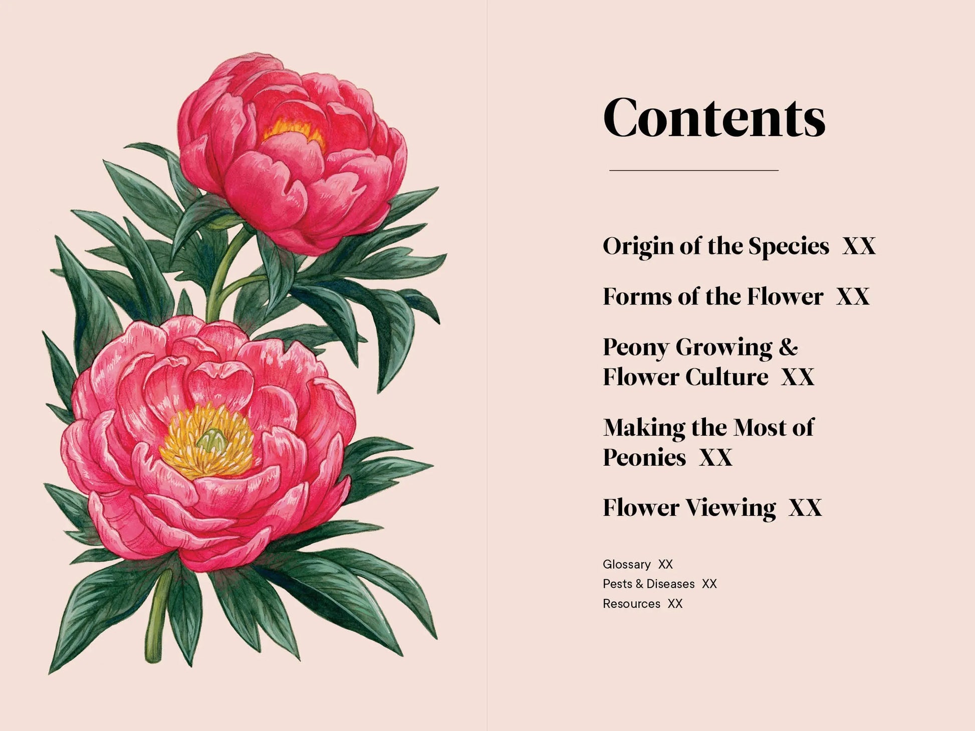 A Little Book of Flowers: Peonies Paige Tate & Co.