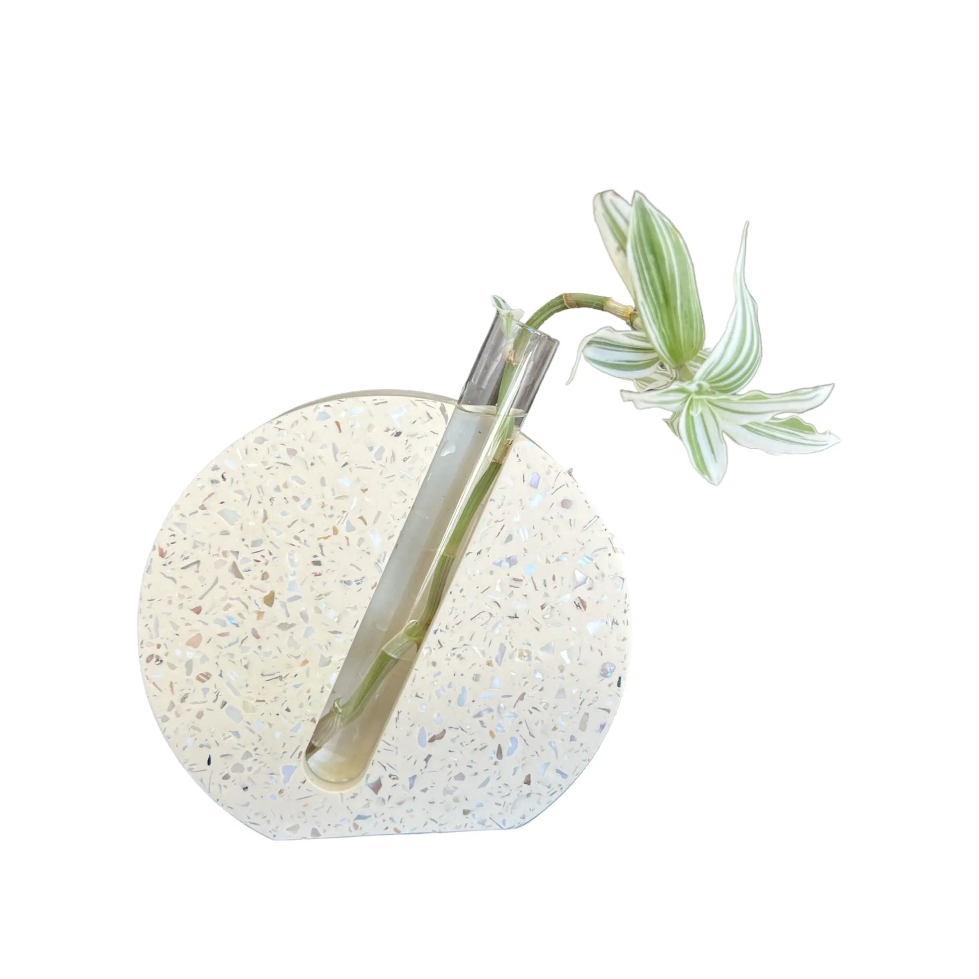 Mother Of Pearl Terrazzo Propagation Station | Stem Vase Trazzo