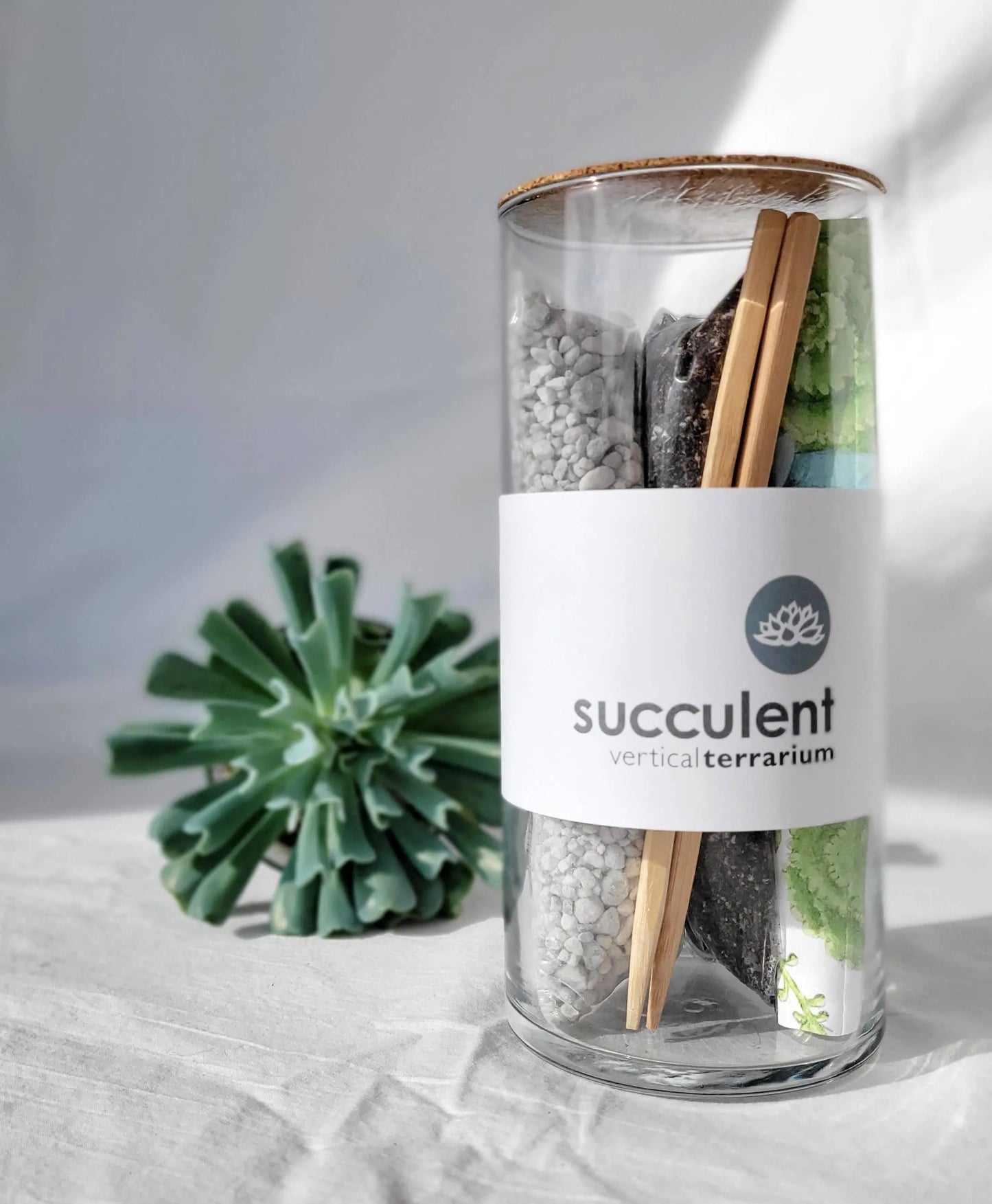 Succulent Terrarium Kit Potting Shed Creations, Ltd.