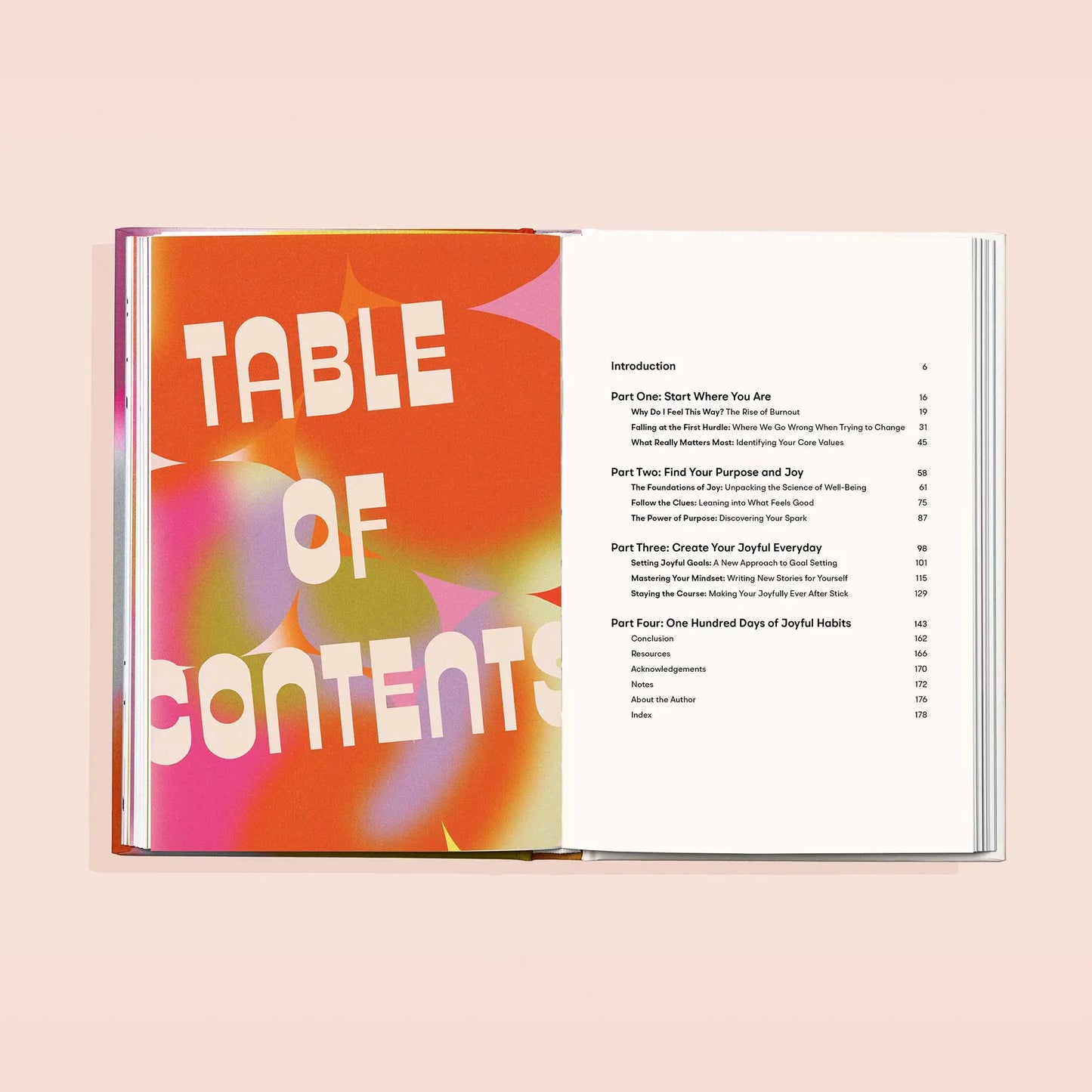 Choose Joy - a self care book for women Paige Tate & Co.